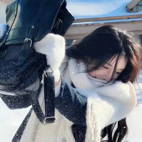 麒麟之翼