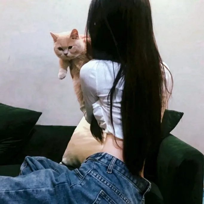 权力的堡垒 第一季